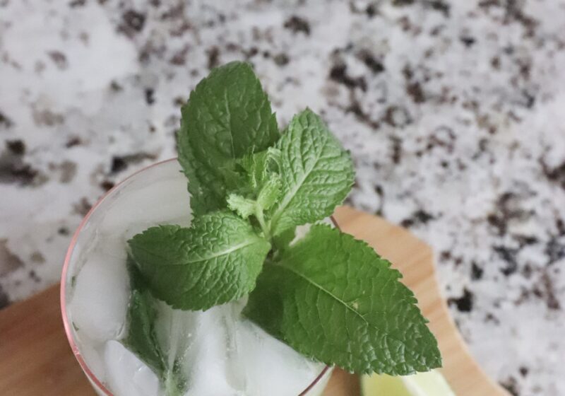 Super Easy Mocktail Mojito Recipe